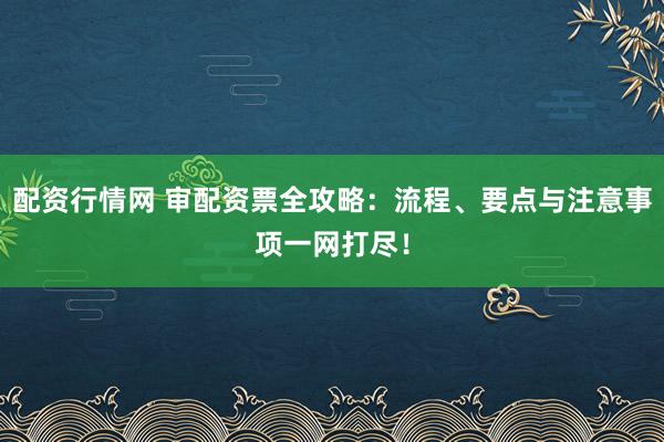 配资行情网 审配资票全攻略：流程、要点与注意事项一网打尽！