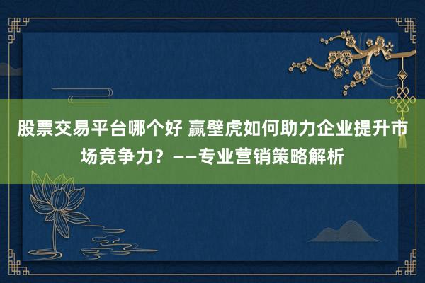 股票交易平台哪个好 赢壁虎如何助力企业提升市场竞争力？——专业营销策略解析