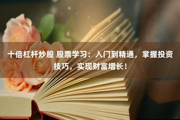 十倍杠杆炒股 股票学习：入门到精通，掌握投资技巧，实现财富增长！