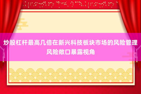 炒股杠杆最高几倍在新兴科技板块市场的风险管理风险敞口暴露视角