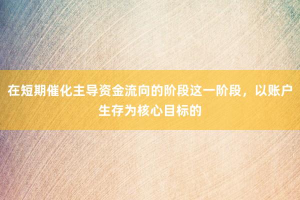 在短期催化主导资金流向的阶段这一阶段，以账户生存为核心目标的