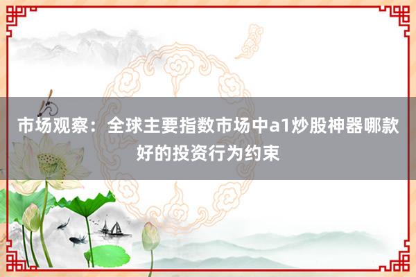 市场观察：全球主要指数市场中a1炒股神器哪款好的投资行为约束