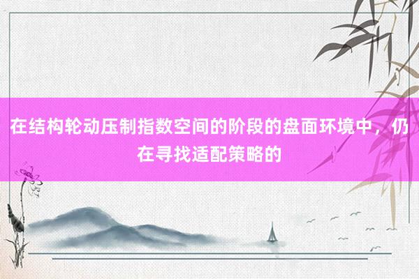 在结构轮动压制指数空间的阶段的盘面环境中，仍在寻找适配策略的