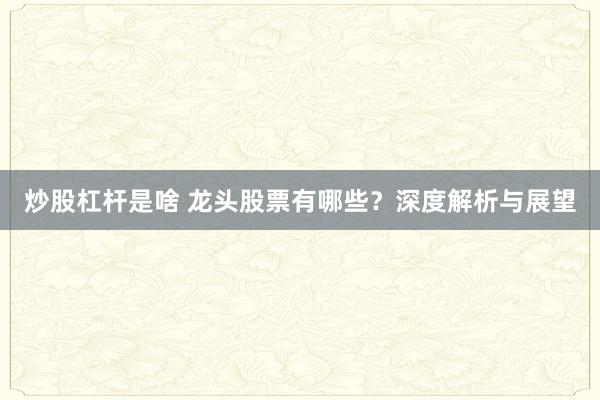 炒股杠杆是啥 龙头股票有哪些？深度解析与展望