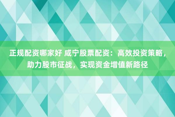 正规配资哪家好 咸宁股票配资：高效投资策略，助力股市征战，实现资金增值新路径