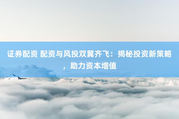 证券配资 配资与风投双翼齐飞：揭秘投资新策略，助力资本增值